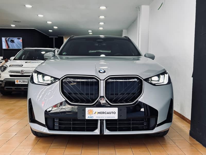 Coche Andorra Coche - BMW-X Series-X3-20 D image - 2
