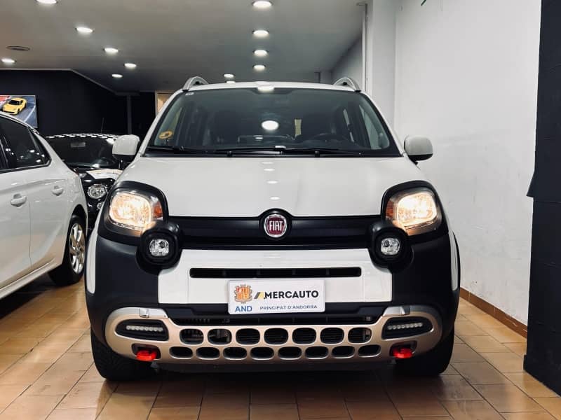 Coche Andorra Coche - Fiat-Panda-4x4 image - 2