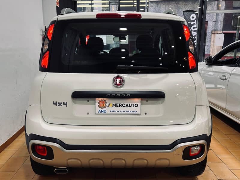 Coche Andorra Coche - Fiat-Panda-4x4 image - 5