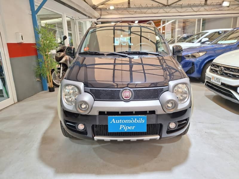 Coche Andorra Coche - Fiat-Panda-JTD 4X4 image - 4