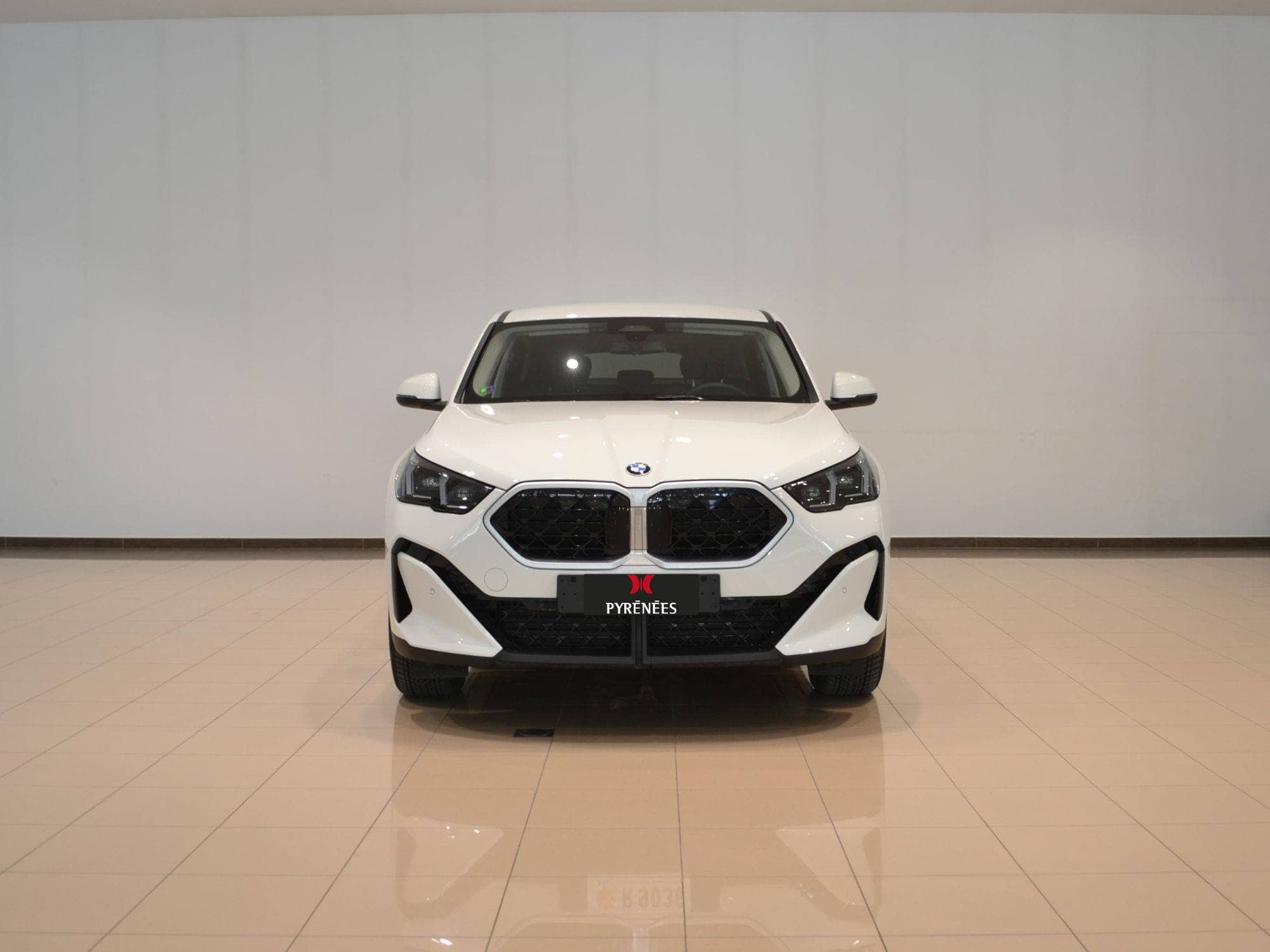 Coche Andorra Coche - BMW-X Series-X2-xDrive 20d image - 2